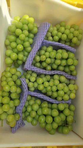 阳光玫瑰二级果（实惠装6g）