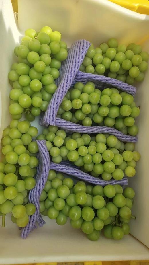 阳光玫瑰二级果（实惠装6g） 商品图0