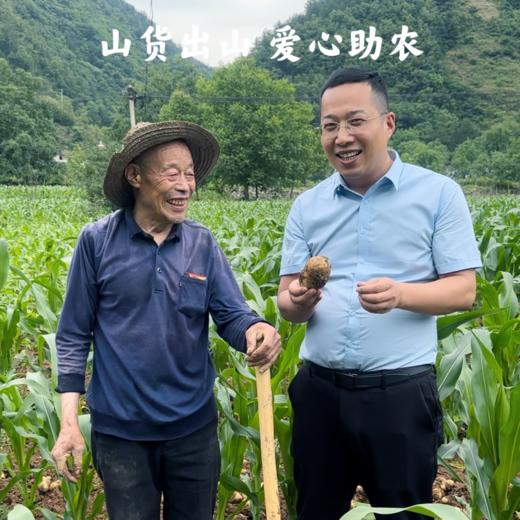 山阳县 爱心助农 高山土豆 3斤/5斤 商品图4