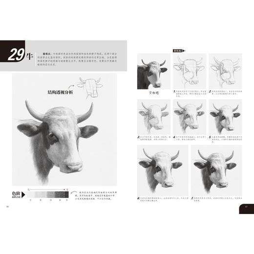 素描轻松画 昆虫动物 商品图3