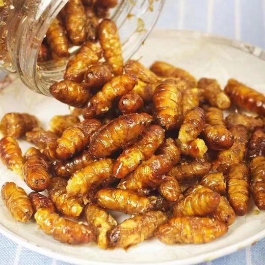 香酥金丝蚕蛹2桶 商品图1