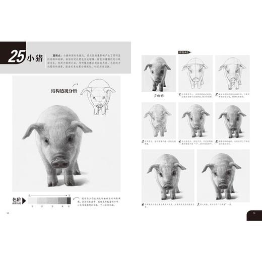 素描轻松画 昆虫动物 商品图4