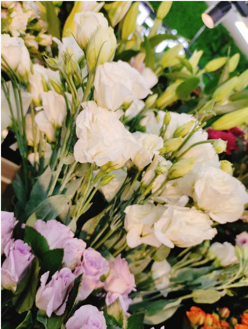 洋桔梗花束（拼团） 商品图0