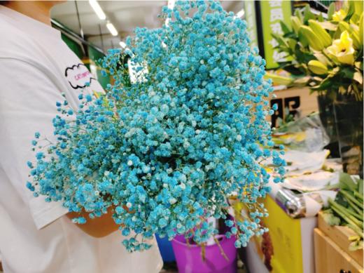 蓝色满天星（拼团） 商品图3