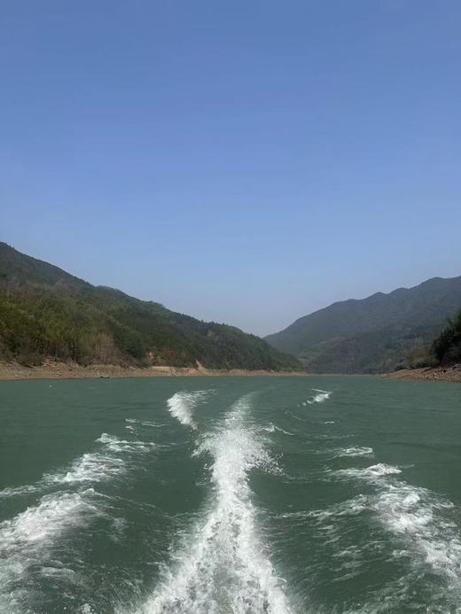 柴熏野生冷水鱼干（500克/盒） 商品图5