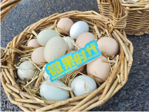 竹筐鸡蛋一筐（拼团） 商品图2