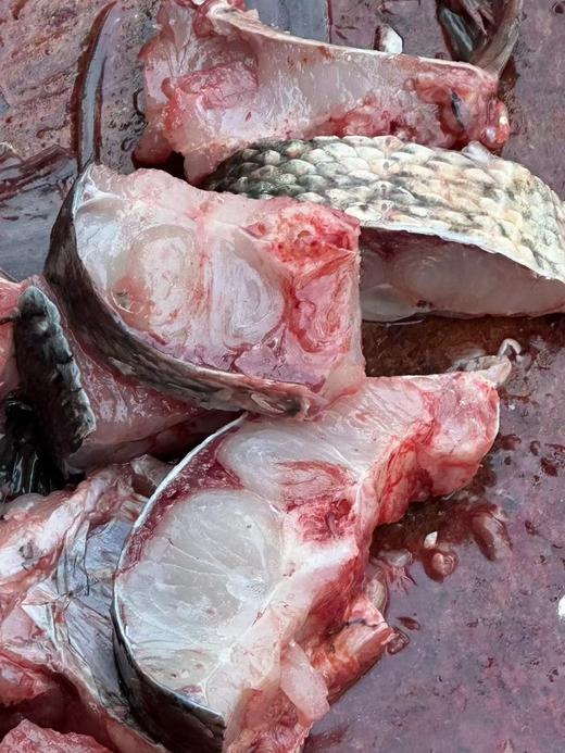 柴熏野生冷水鱼干（500克/盒） 商品图2