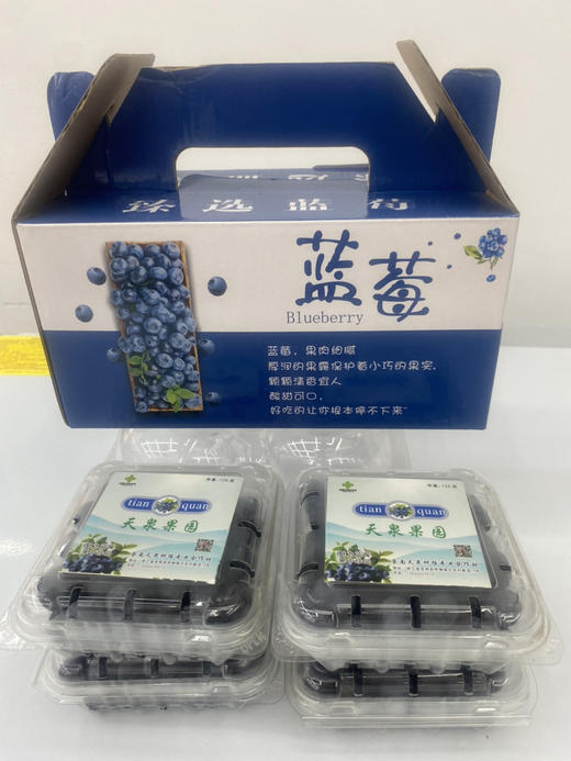 限量版怡颗莓新鲜采摘礼盒蓝莓125g*12盒 商品图10