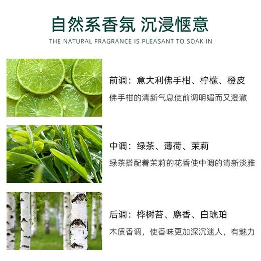 【中欧班列精选】美国伊丽莎白雅顿香水 原装进口 绿茶香水清新香型花香调淡雅持久留香香薰30ml/50ml/瓶 YLSB 商品图2