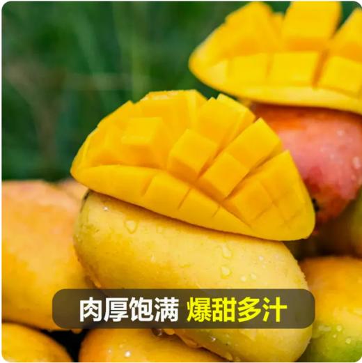 积分兑换礼品套餐1 商品图2