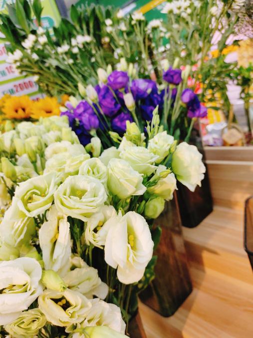 洋桔梗花束（拼团） 商品图1