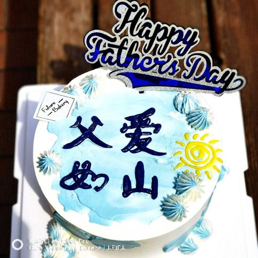 父爱如山 商品图0