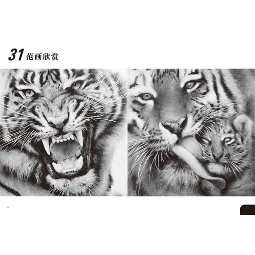 素描轻松画 昆虫动物 商品图2