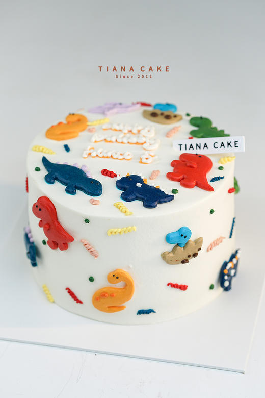 【手绘定制款】恐龙乐园 商品图1