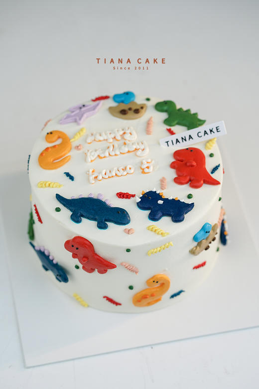 【手绘定制款】恐龙乐园 商品图2