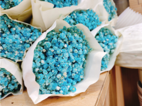 蓝色满天星（拼团）