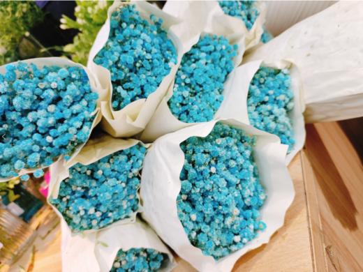 蓝色满天星（拼团） 商品图2