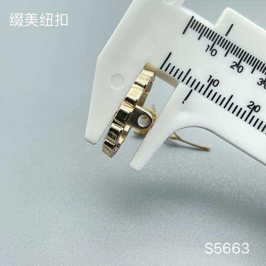 S5663(整包购买) 商品图4