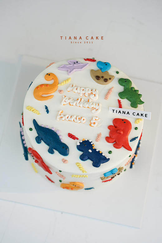 【手绘定制款】恐龙乐园 商品图3