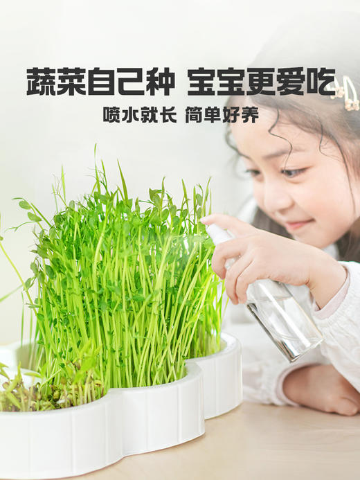 万物萌发系列-云朵小菜园TK10607 商品图3