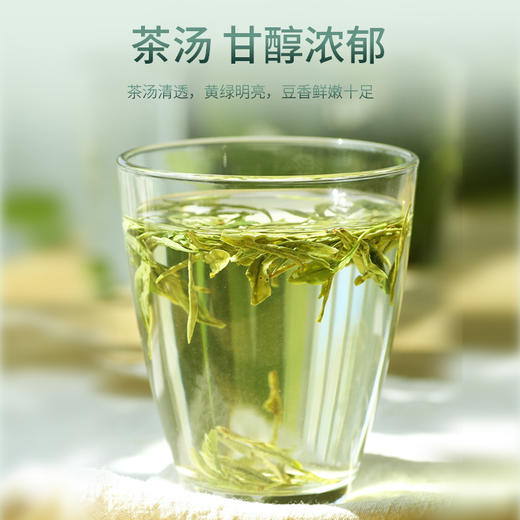 豆香龙井绿茶2025新茶春茶125g*2袋 龙井5星 商品图2