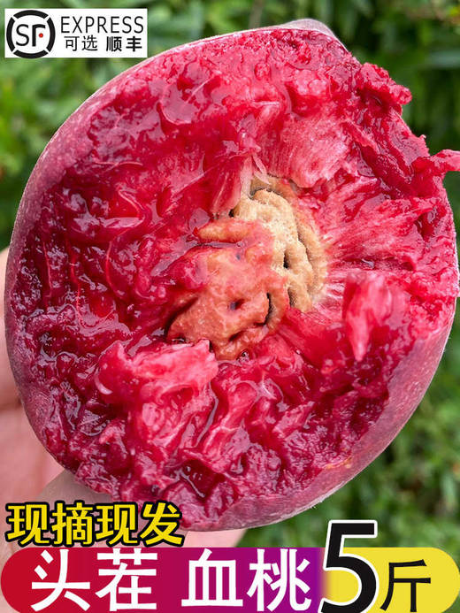河南桐柏血桃 新鲜水果整箱5斤 商品图0
