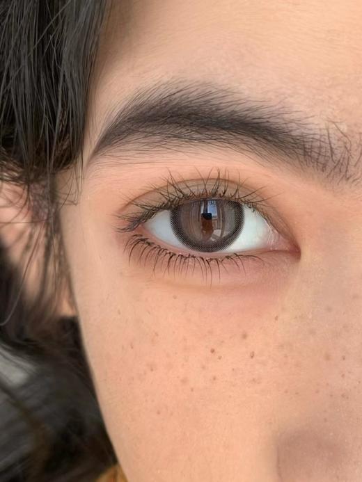 【大直径】Sugarplum-夏特尔猫-14.5mm【年抛 度数0-1000度 无525/575 】 商品图4