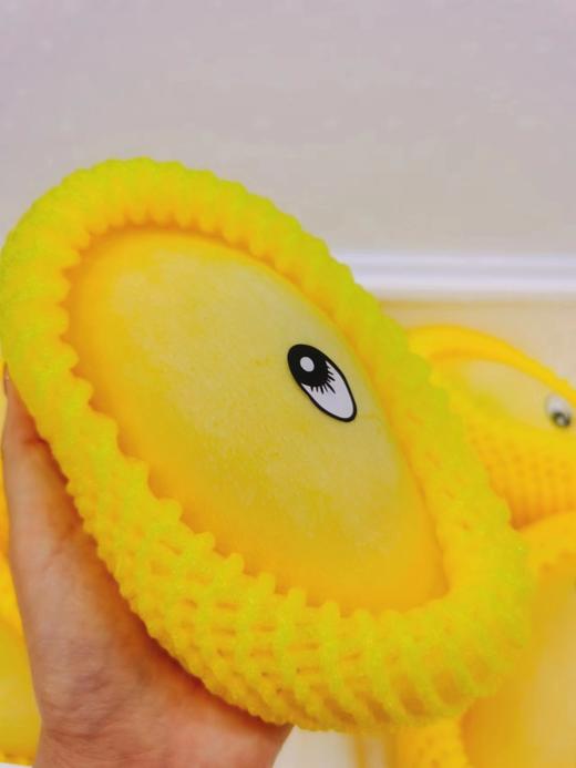 鹰嘴芒一箱 商品图3