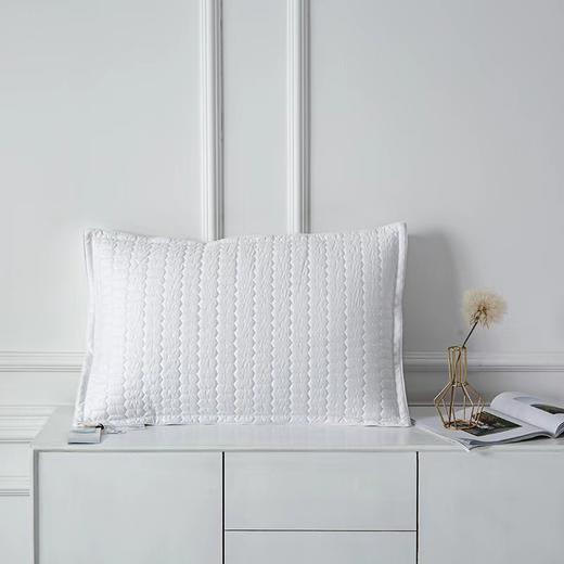 玻尿酸立体美颜枕*1个 商品图0