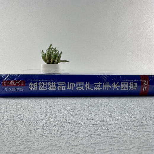 新版精装盆腔解剖与妇产科手术图谱中卷 原书第5版解剖图谱手术医学实用妇产科学妇科医学书内镜检查与内镜手术妇产科主治医师用书 商品图2