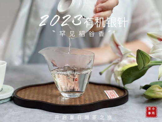 【2023春茶】2023有机银针，两个月就生出了人家一年才生成的稻谷香，太与众不同了！ 商品图10