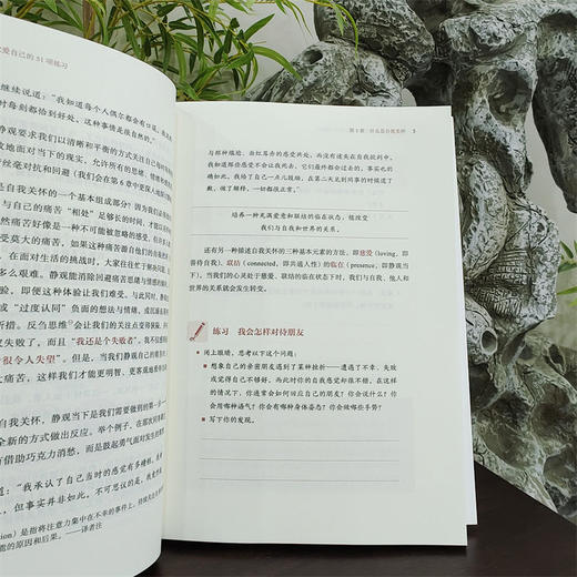 静观自我关怀 勇敢爱自己的51项练习 商品图1