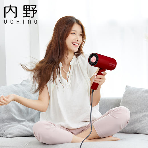 LE10201-N（R 红色） 禅风负离子吹风机 商品图1