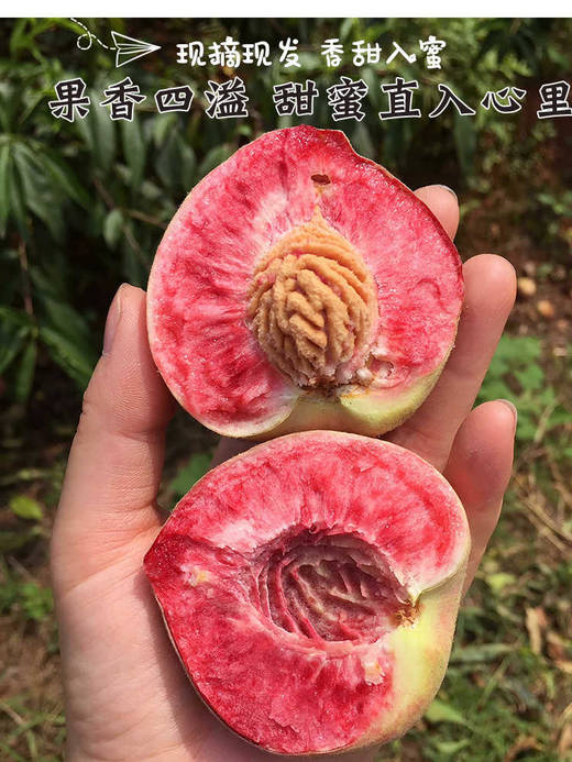河南桐柏血桃 新鲜水果整箱5斤 商品图4