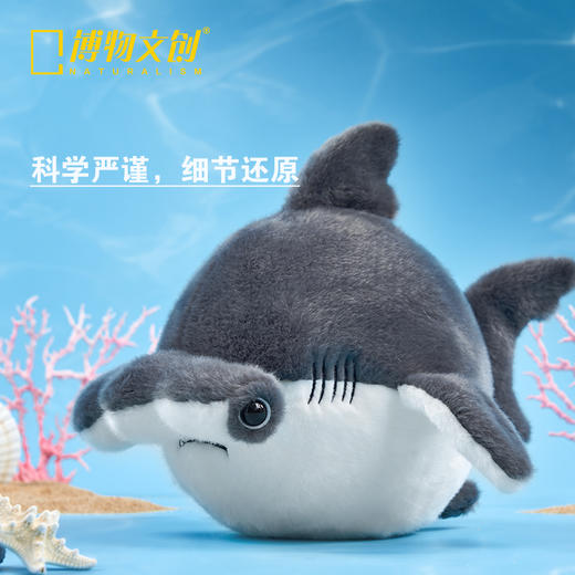 博物文创 圆宝系列双髻鲨毛绒玩偶节日礼物 商品图3