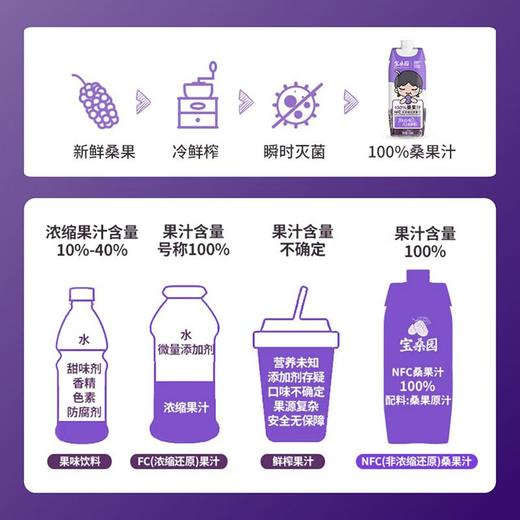 宝桑园桑果汁330ml 商品图3