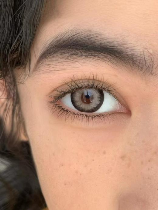 【大直径】Sugarplum-黑金拿破仑-14.5mm【年抛 度数0-1000度 无525/575 】 商品图5