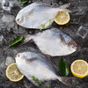 淘鲜拾光  东海原条银鲳鱼 500g克/袋（约5条） 商品缩略图2