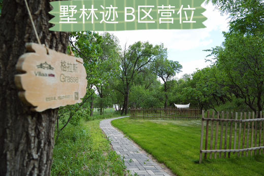 【露营】B区-阶梯固定营位单人票 商品图0