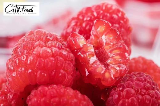 【BF】怡颗梅树莓125g 商品图1