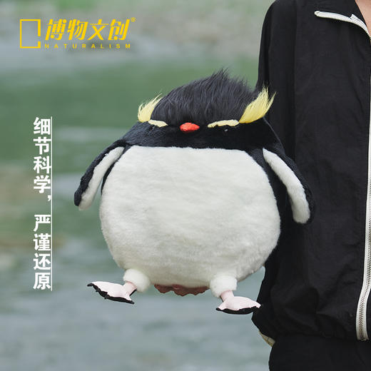 博物文创 大圆宝系列合集 兔狲雪鸮双髻鲨跳岩企鹅羚牛北极兔树麻雀虎鲸北极狐鸮鹦鹉大红鹳 商品图7