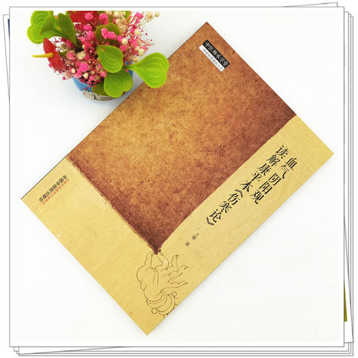 【出版社直销】血气阴阳观读解康平本《伤寒论》 王德 著 中国中医药出版社 中医师承学堂丛书 商品图2