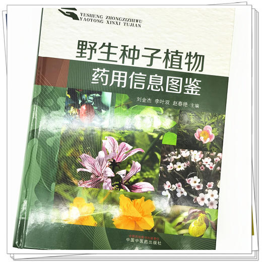 【出版社直销】野生种子植物药用信息图鉴(彩图版）刘金杰 李叶双 赵春燕 著 中国中医药出版社 中药学中华本草全国中草药汇编 商品图4