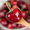 新鲜水果  山东大樱桃1斤/2斤 商品缩略图4