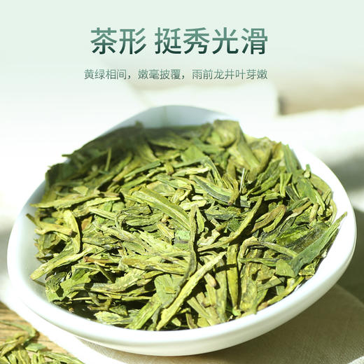 豆香龙井绿茶2025新茶春茶125g*2袋 龙井5星 商品图1
