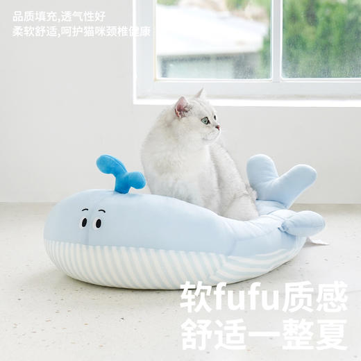 zeze鲸鱼凉感宠物床-B（包邮） 商品图4
