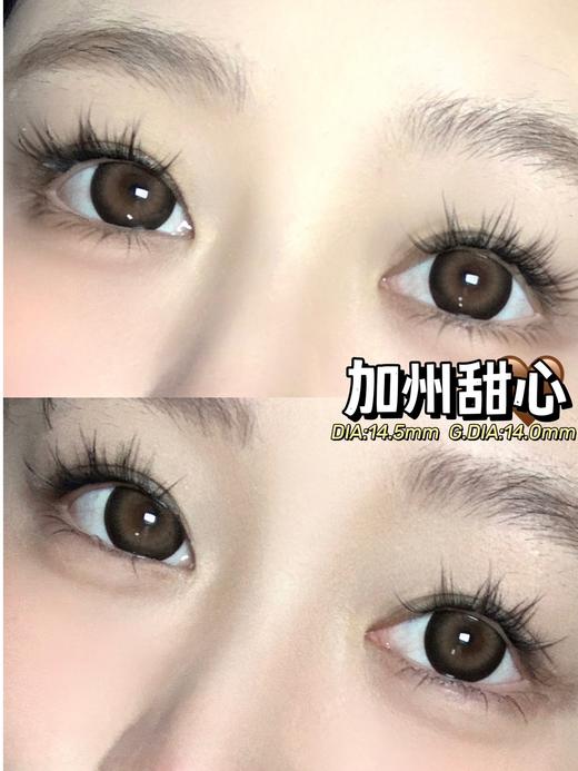 doragina 加州甜心 棕 14.5mm 年抛 含硅水凝胶 商品图3