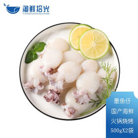 淘鲜拾光  深海冷冻原条速冻墨鱼仔  500g/袋*2