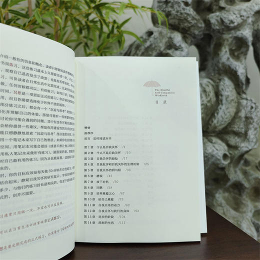 静观自我关怀 勇敢爱自己的51项练习 商品图2