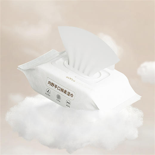 13951-DSWW0010-N-内野湿纸巾-60抽-10包装 商品图4